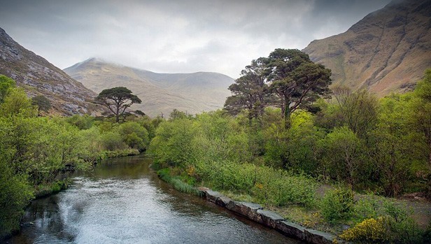 Delphi Lodge & Fishery